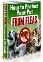 Protect Your Pet From Fleas